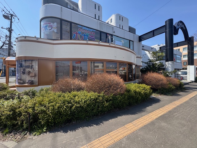 剪定前 イチイ・植え込みなど