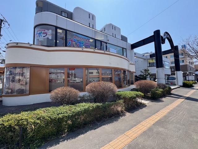剪定後 イチイ・植え込みなど