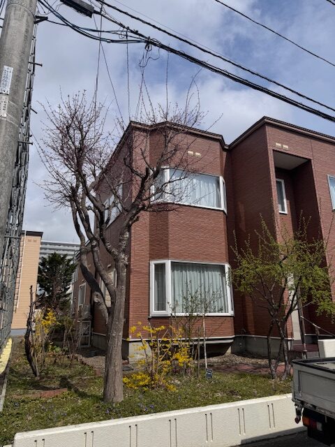伐採前 モミジなど