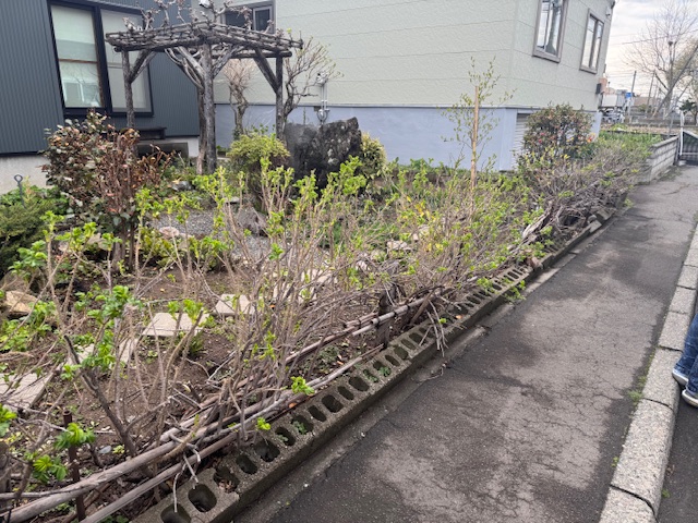 竹垣 作成前