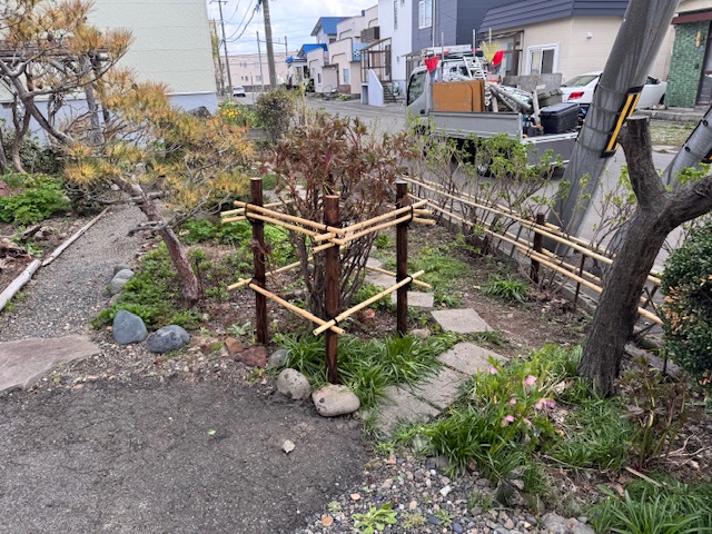 牡丹の囲い 作成後