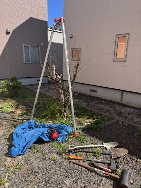 抜根作業前