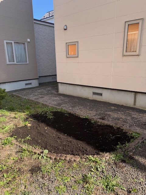 抜根作業後