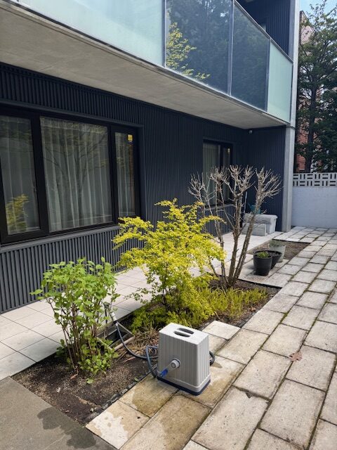 消毒対象の庭木1