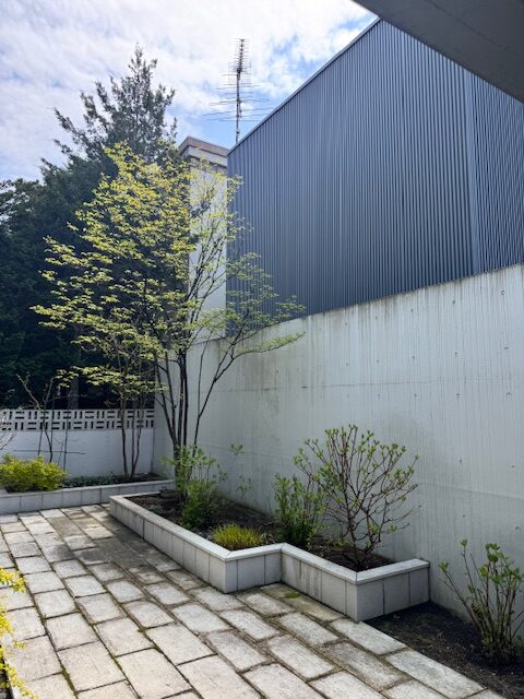 消毒対象の庭木2