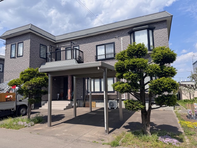 剪定前 イチイ