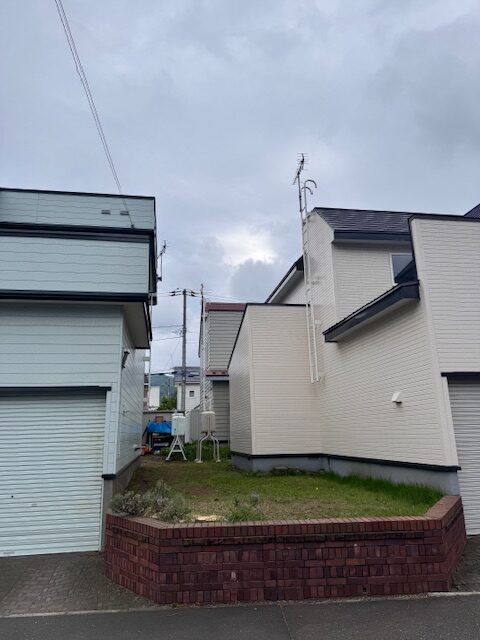 伐採後　ヒバ