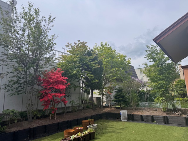 剪定・伐採作業前