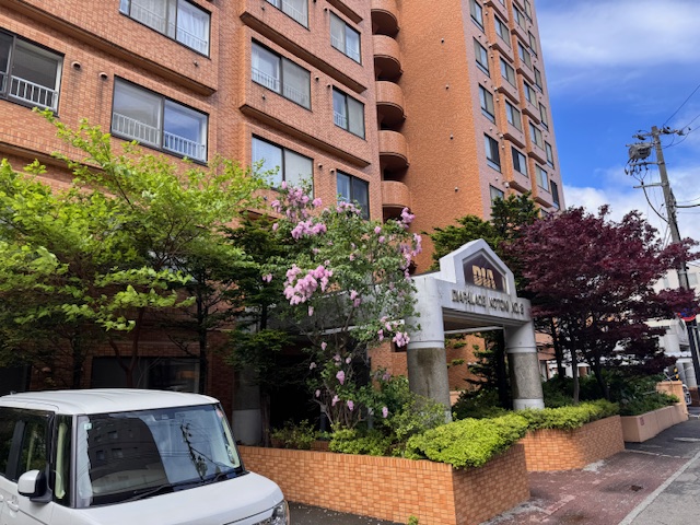 伐採前③