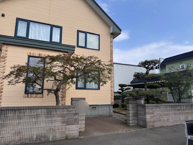 剪定後　枝垂れモミジ・黒松