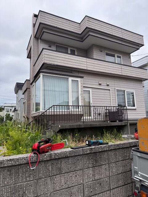 伐採後 イチイ・もみじ