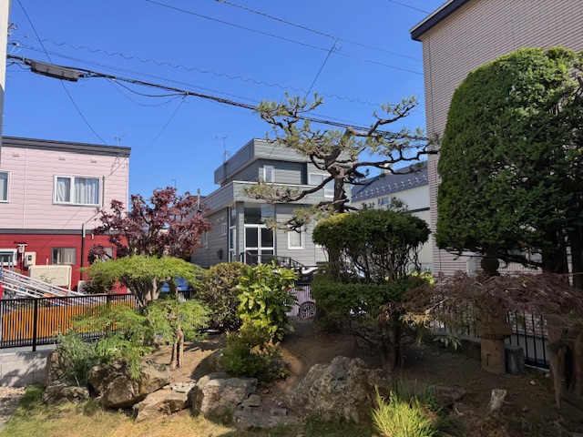剪定後②
