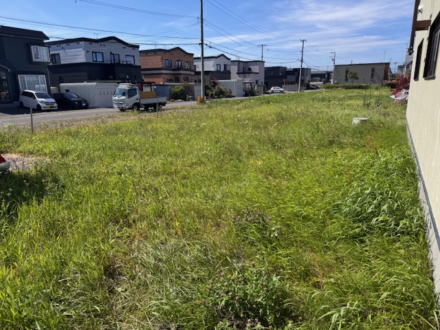 草刈り前(刈りっ放し)