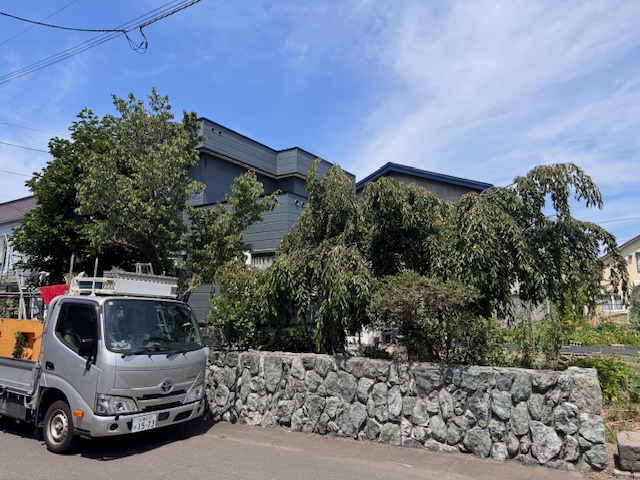 作業前　モクレン伐採、桜・枝垂れ桜剪定