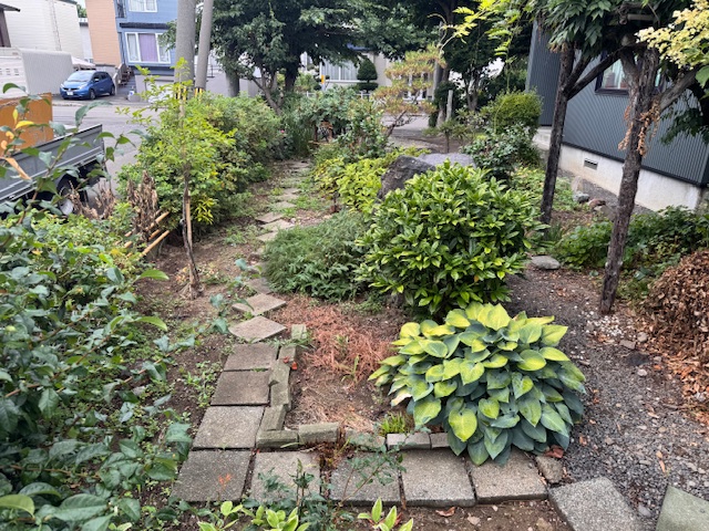 作業前　剪定・草刈り