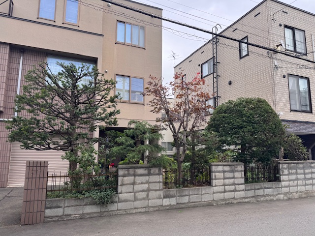 剪定後 イチイ・野村モミジなど
