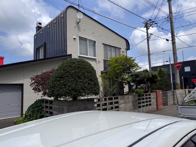 剪定後　もみじ・イチイなど