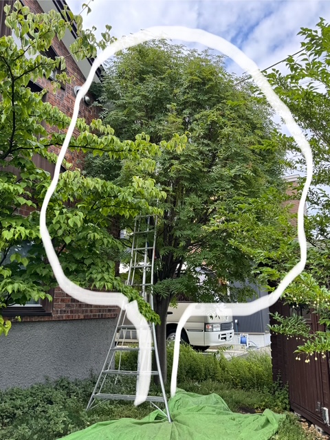 剪定前　ナナカマド