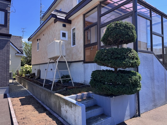 作業後 低木伐採・イチイ刈り込み
