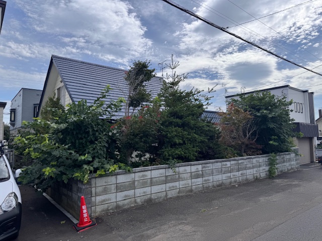 伐採前　ヒバ・五葉松・もみじなど