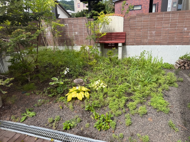 草刈り・草むしり作業前