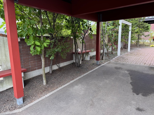 草刈り・草むしり作業後
