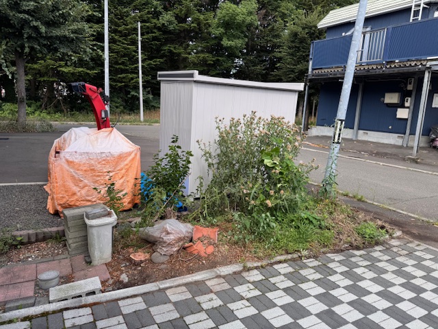 伐採後 イチイ・もみじ・イボタ