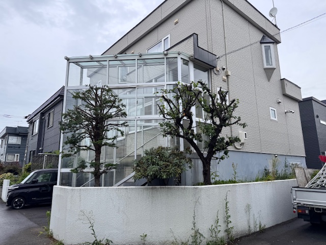 剪定後 イチイ・梅