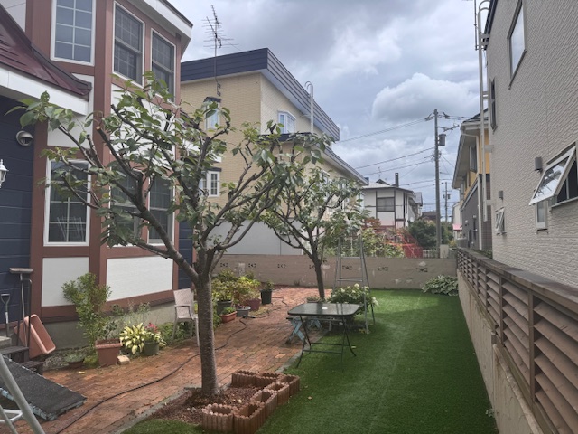 剪定後 桜