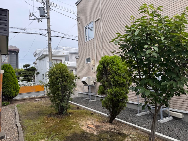 伐採後 姫リンゴ