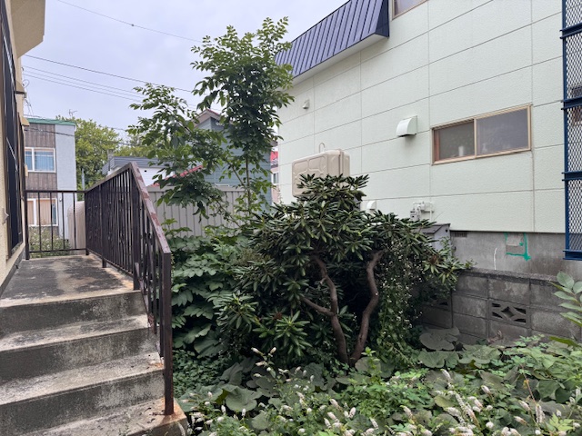 伐採前 低木・雑木