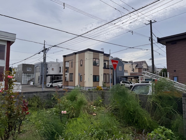 伐採後 イチイ4本