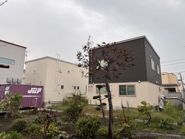 作業後 モクレン伐採・モミジ剪定など