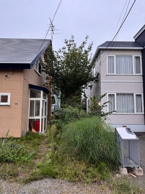 作業前　桜剪定など