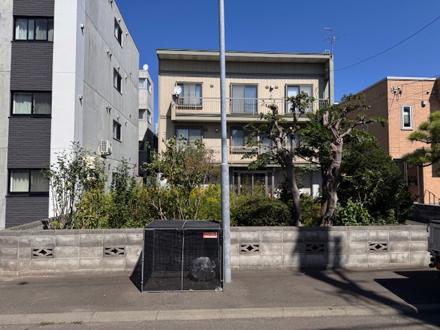 剪定後（道路沿い）