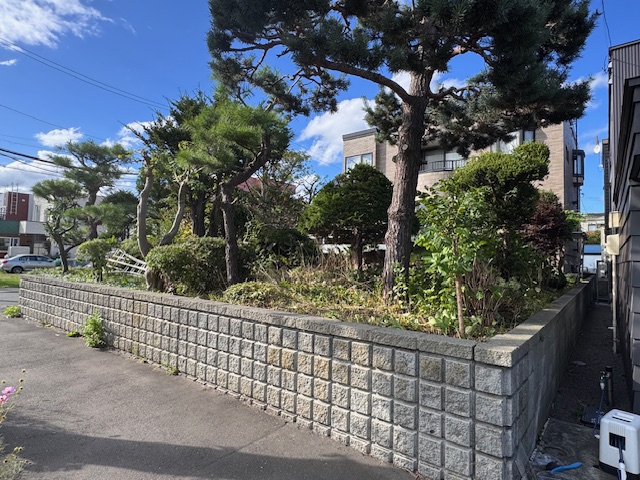 剪定後　越境枝の枝払いなど