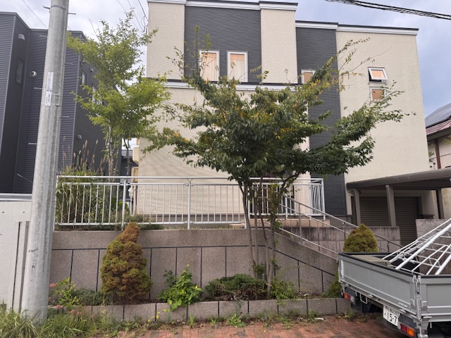 伐採前（玄関前）
