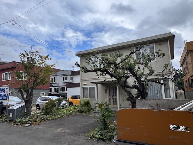 剪定後　桜・梅