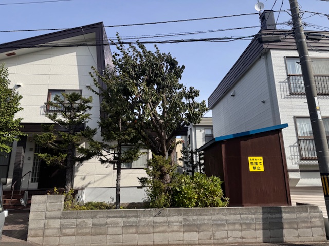 剪定前　桜