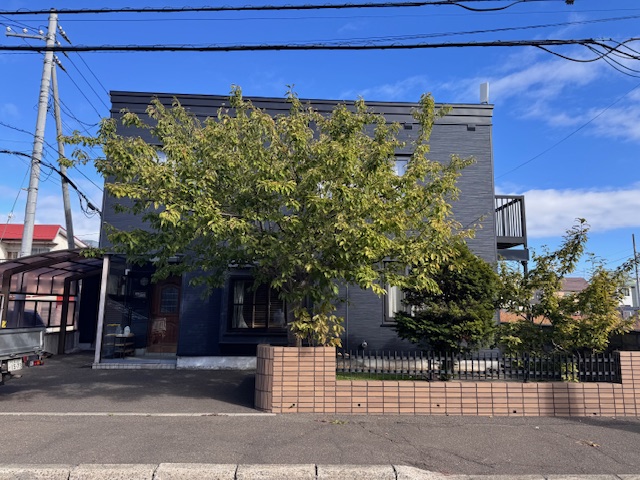 サクランボ果樹剪定前