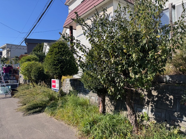 草刈り・剪定前