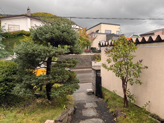 作業前 五葉松・ライラック