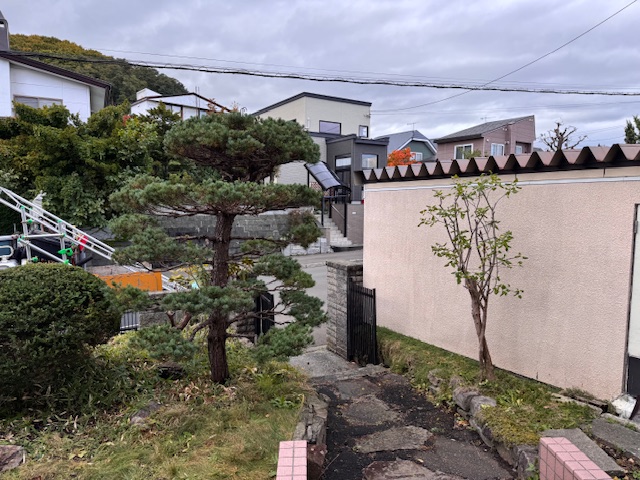 作業後 五葉松・ライラック