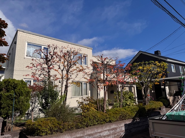 剪定後（道路側より）