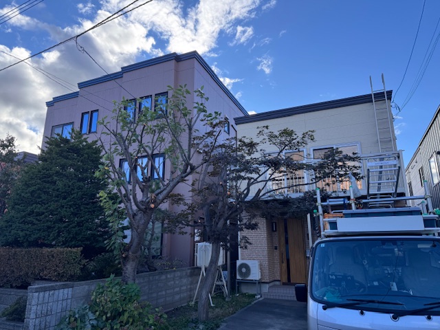 剪定後　桜・もみじ