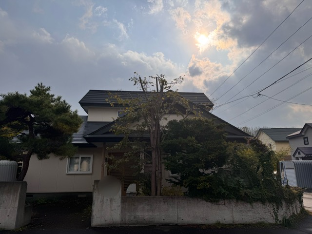 剪定後　アズキナシ