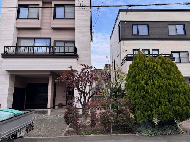 剪定後　野村もみじ・ヤマボウシ