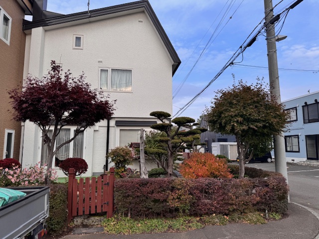 剪定前　野村もみじ・もみじ