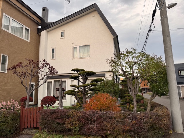 剪定後　野村もみじ・もみじ