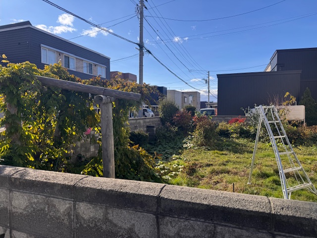 剪定前 庭木全体